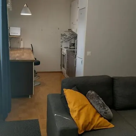 Apartment Paeivioenkatu *