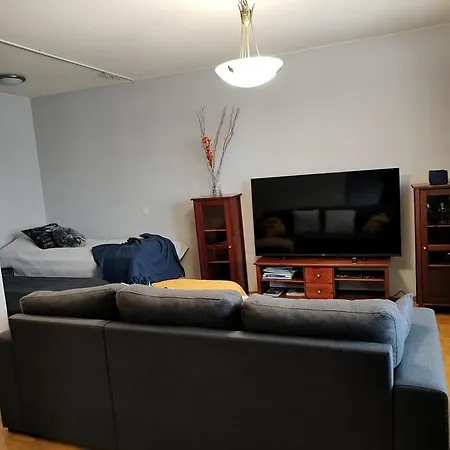 Paeivioenkatu Apartment *