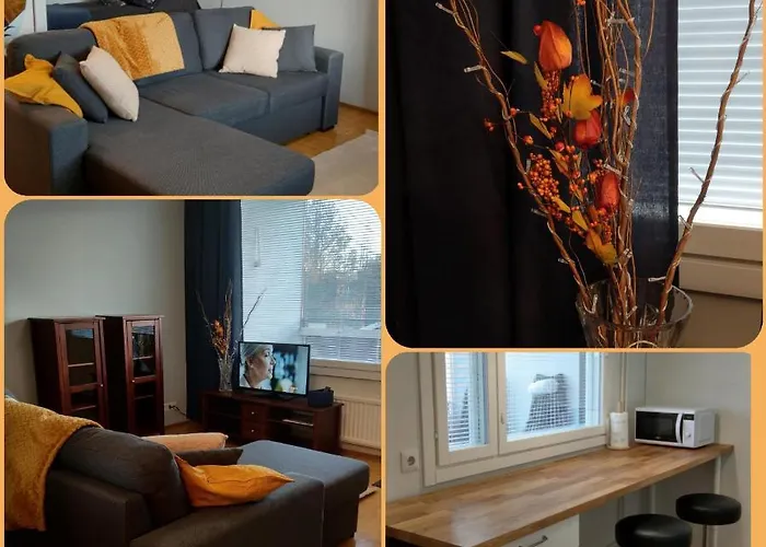 公寓 Paeivioenkatu 伊萨尔米