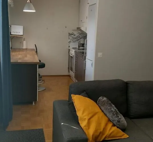 公寓 Paeivioenkatu *