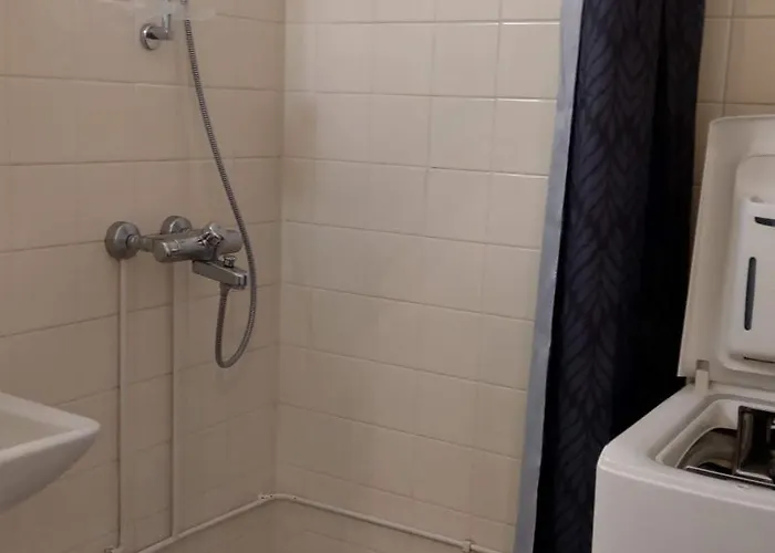 Paeivioenkatu 公寓 伊萨尔米